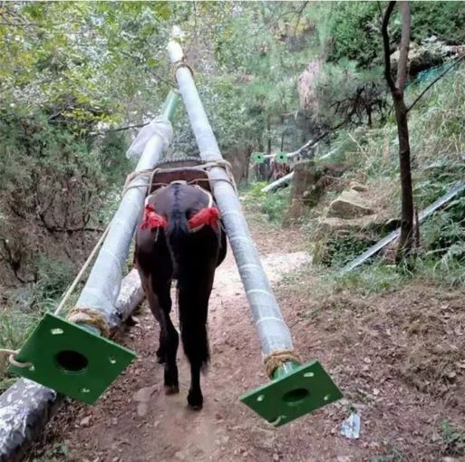 吕梁骡马运输队